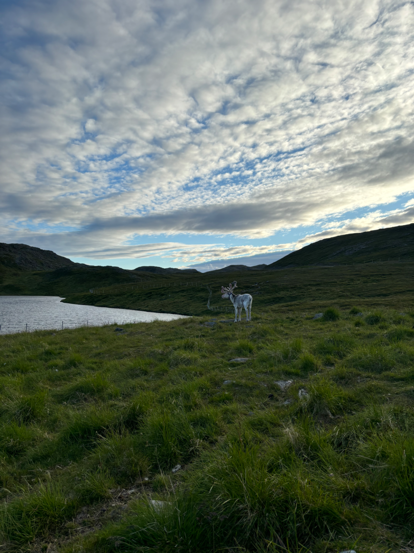 On the road to North Cape