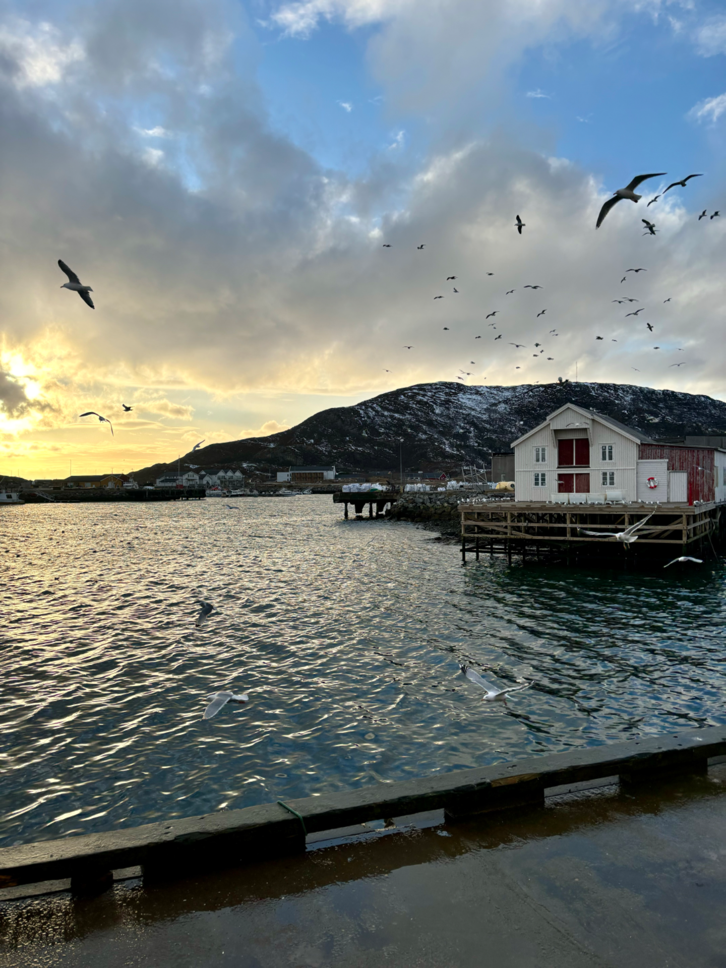 The harbor